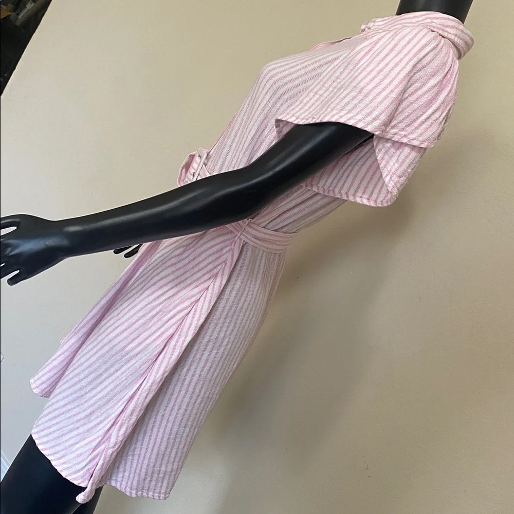 Alexis Pink and White Striped Button Mini Dress - Picture 7 of 14